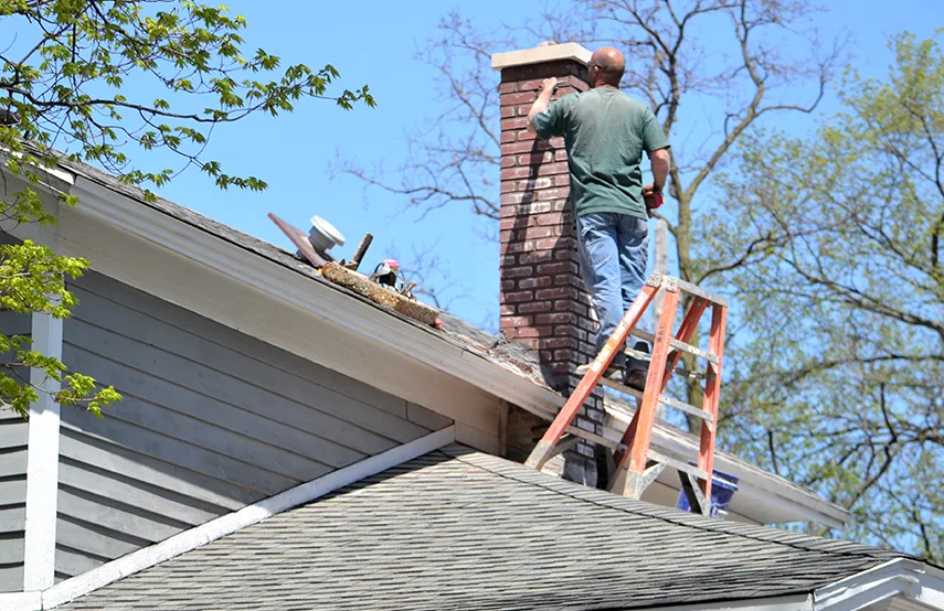 Chimney & Fireplace Inspections Services in Ashtabula, OH